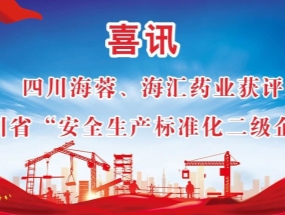 海蓉、海匯藥業(yè)獲評“安全生產(chǎn)標(biāo)準(zhǔn)化二級企業(yè)”